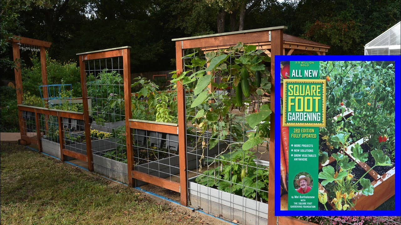 Raised Bed Project