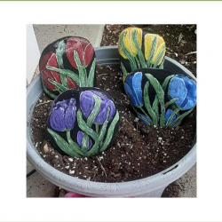 Tulips