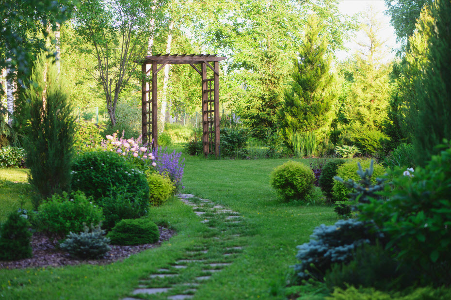 Pergola and Arbors