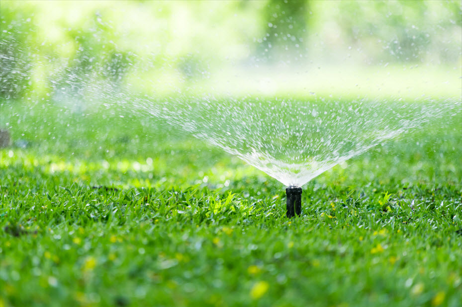 Sprinkler Systems