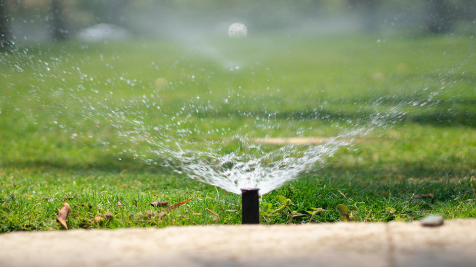 New Sprinkler Installation
