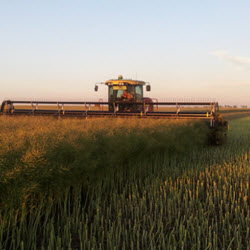 Precision Agriculture