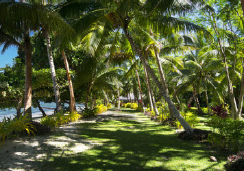 Resort Operation