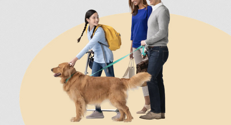 Pet Insurance