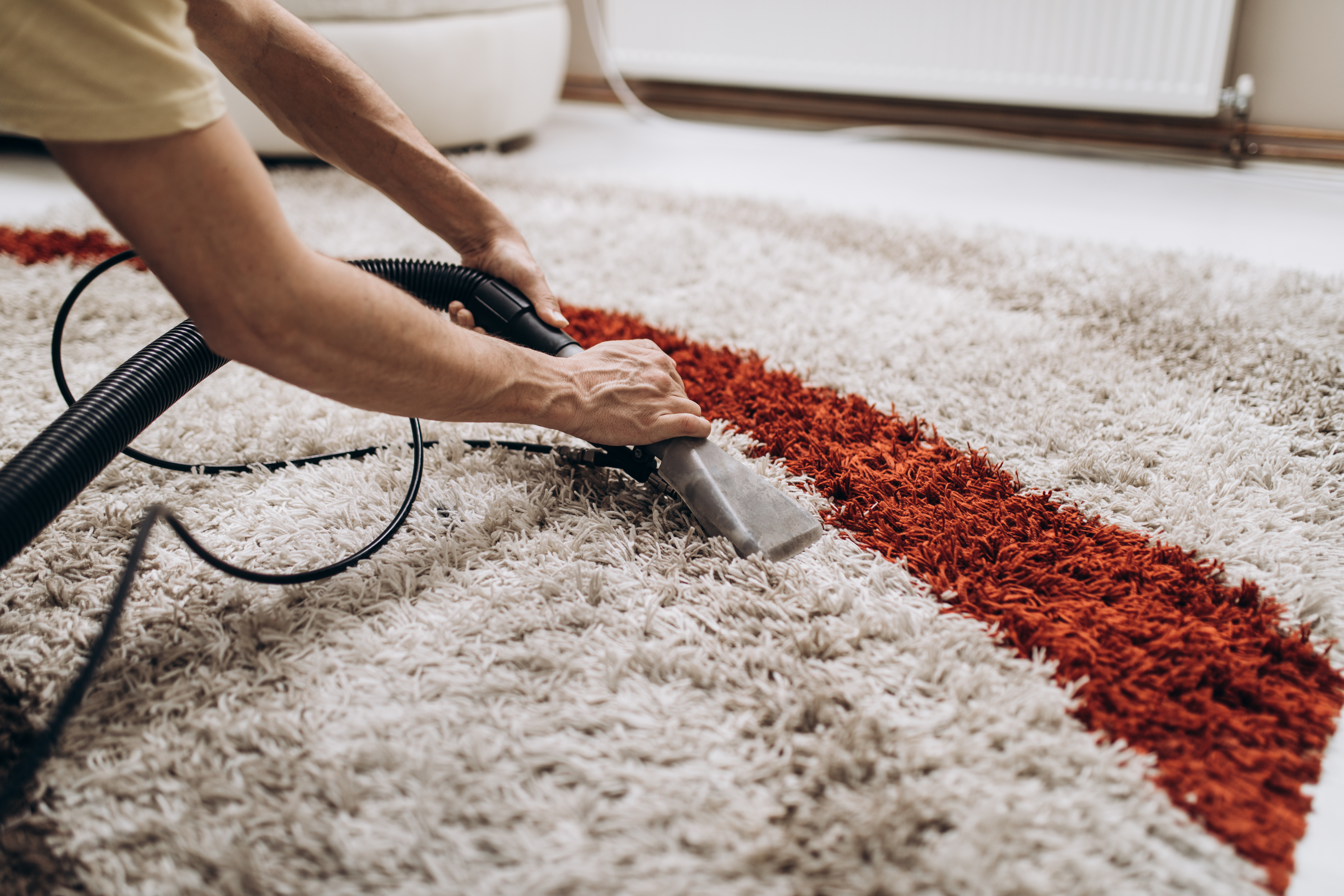 Carpet and Upholstery Cleaning