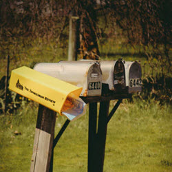 Bulk Mailing Services