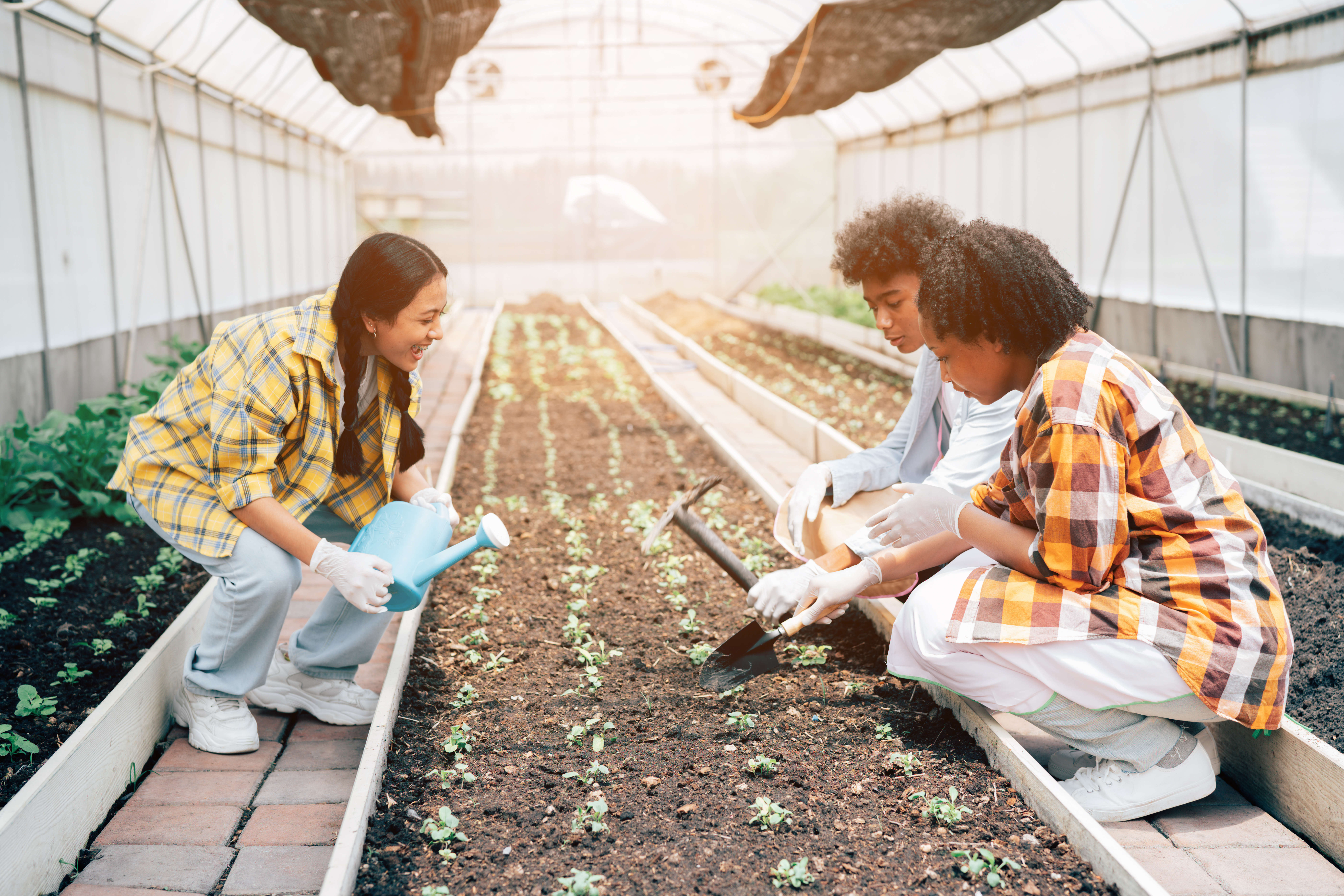 Crop Consulting