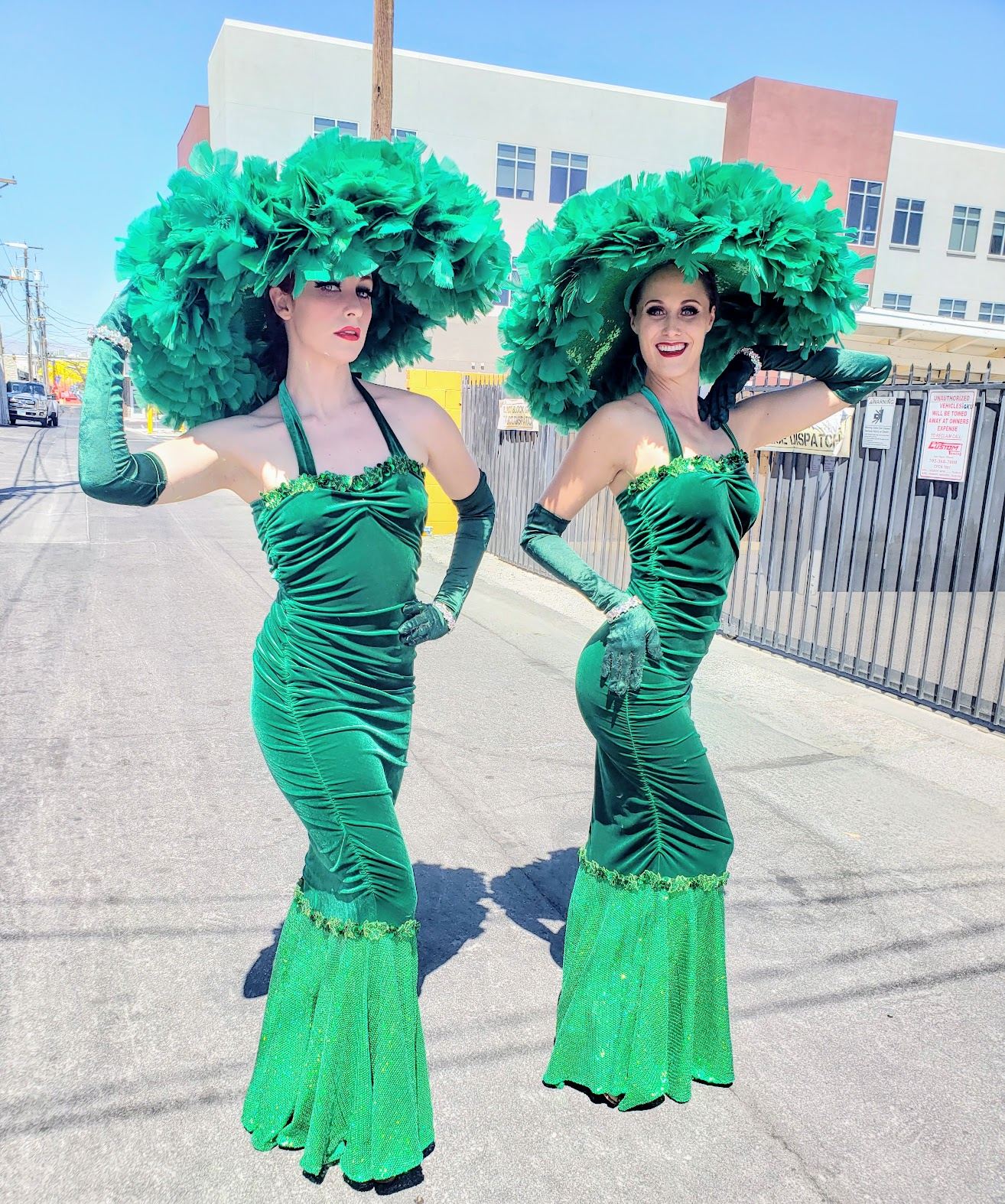 Showgirl Gowns