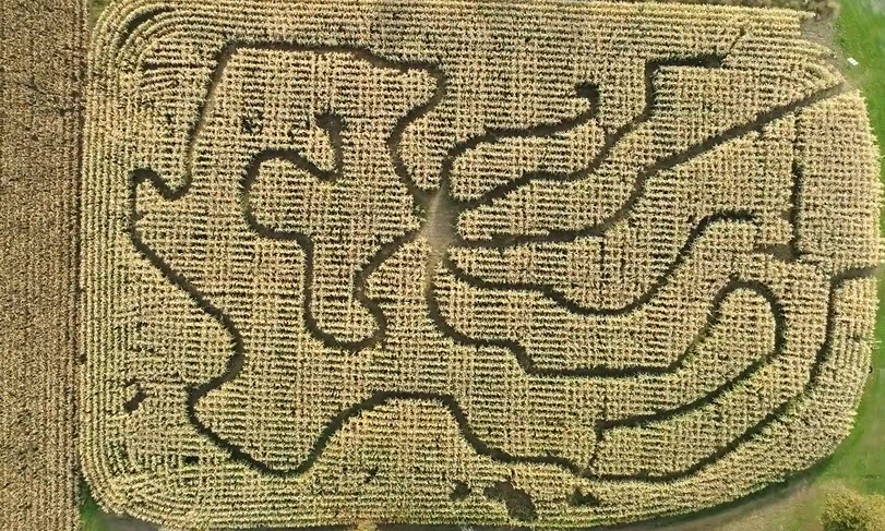  Saunderskill Farm Corn Maze