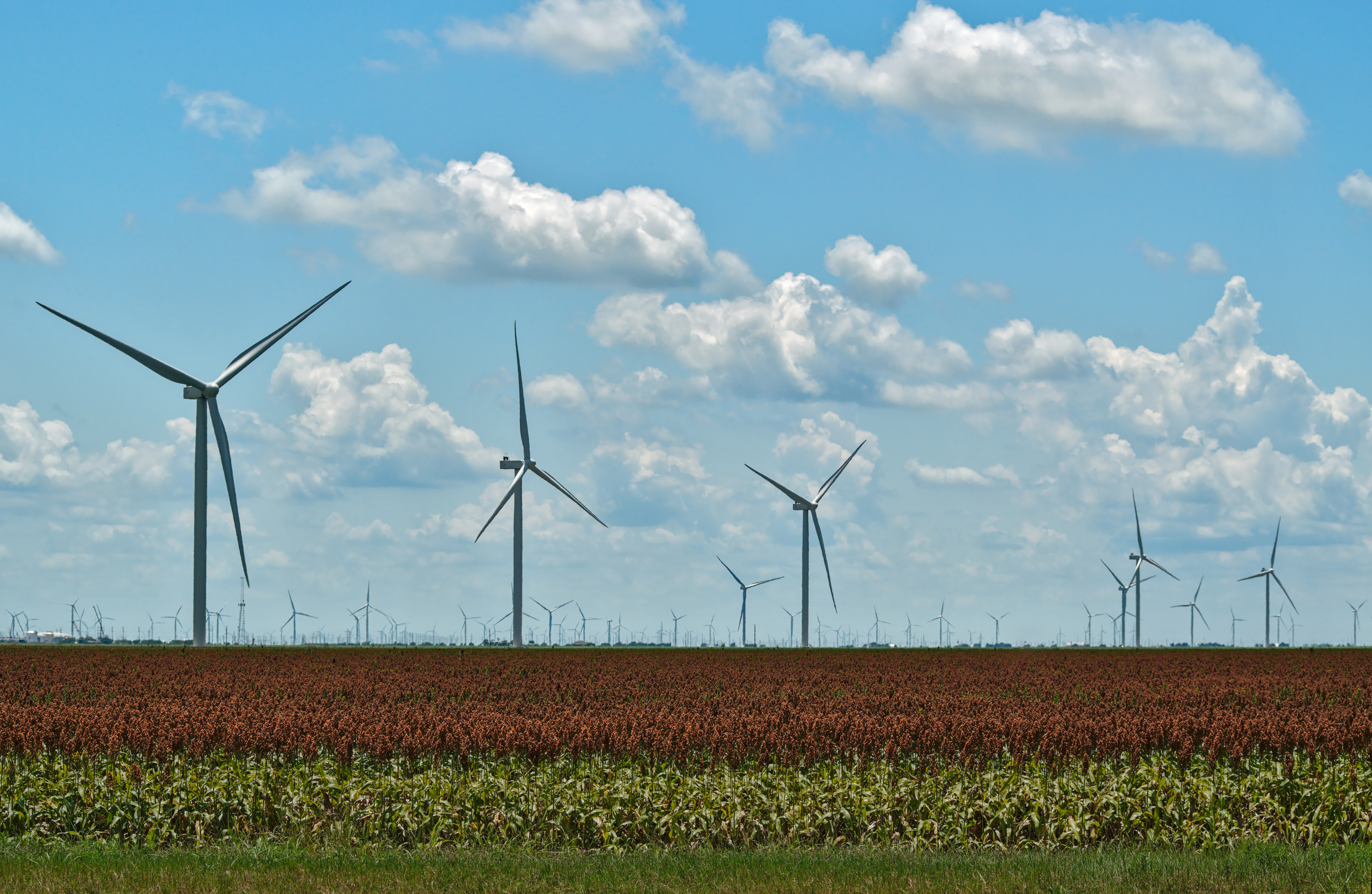 Texas Electricity Rates
