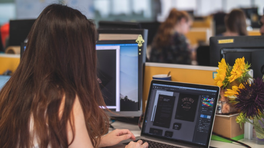 Website Developer