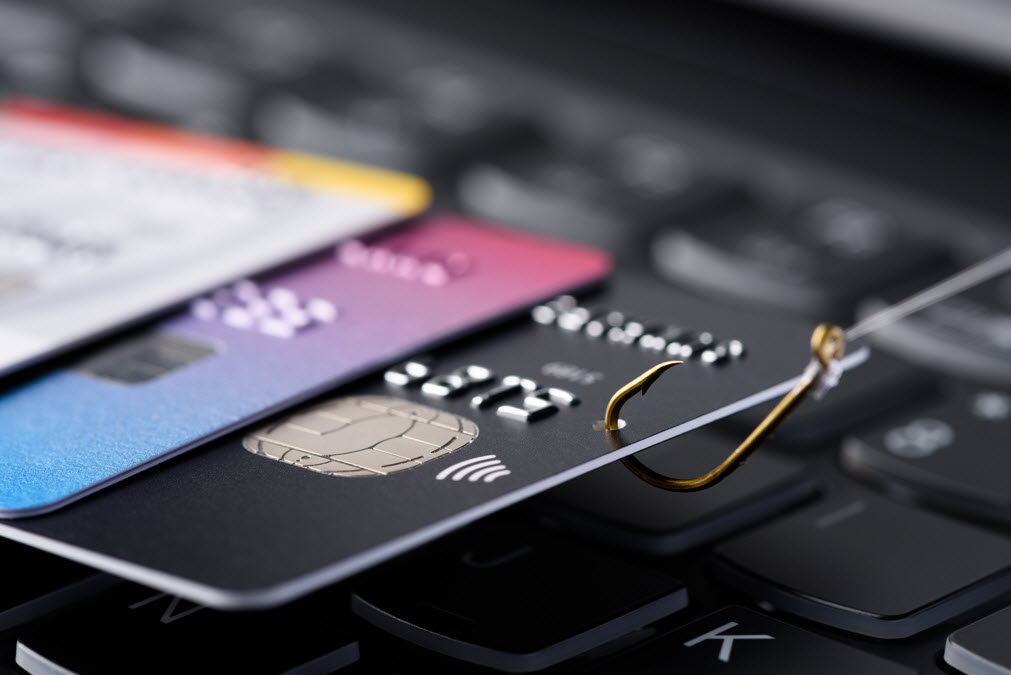 Fraud Law