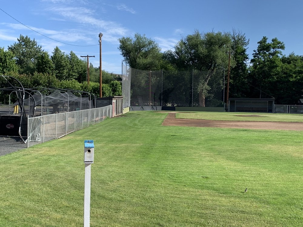 Baseball Field