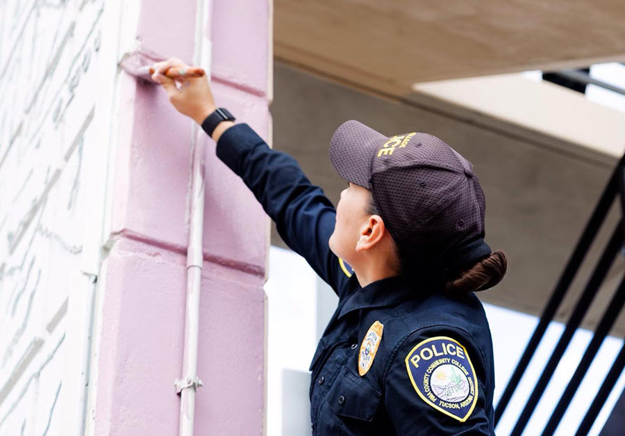 Graffiti Removal Program
