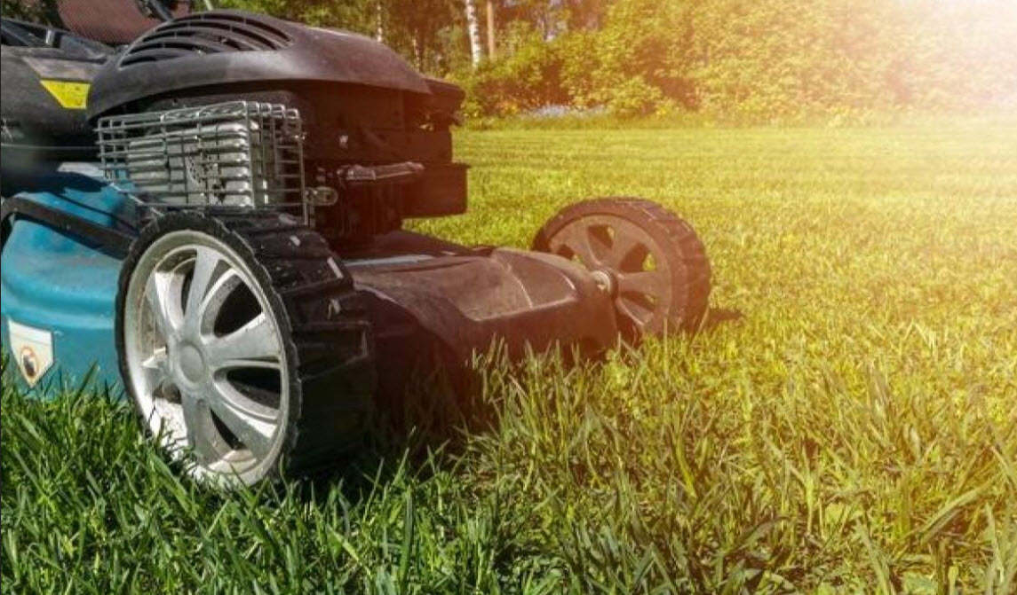 Lawn Mowing