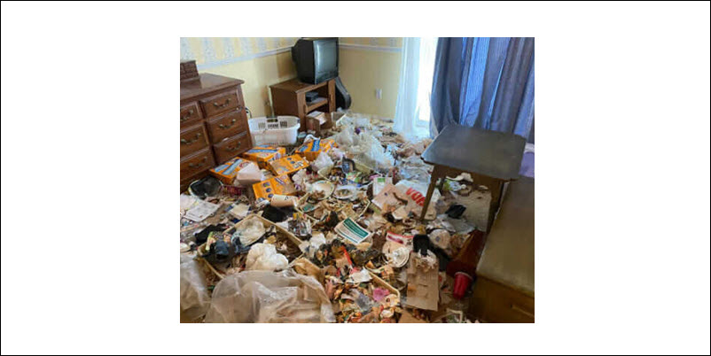Gross Filth Cleaning