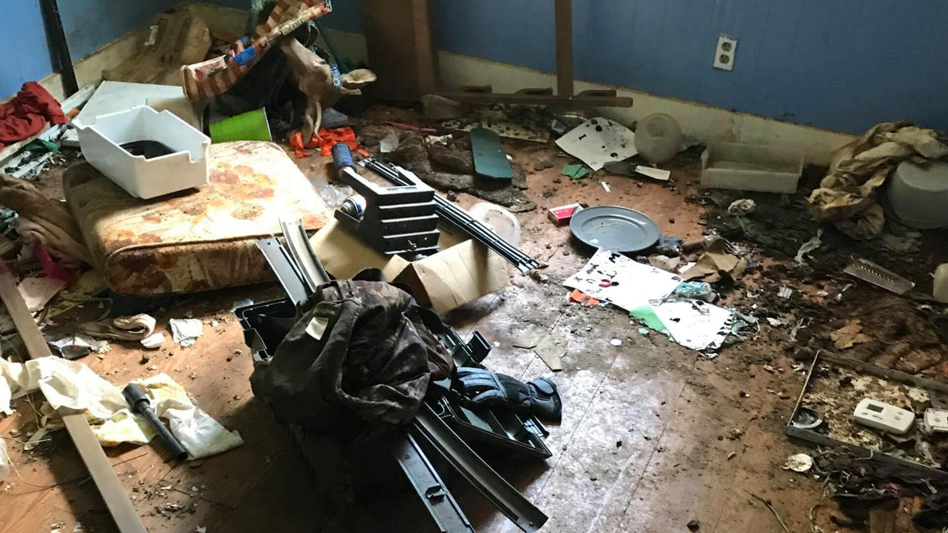 Animal Hoarding Cleanup Services