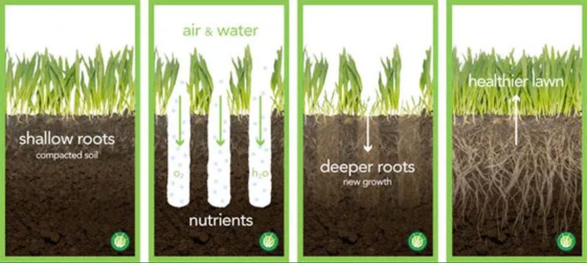 Aeration And Over Seeding