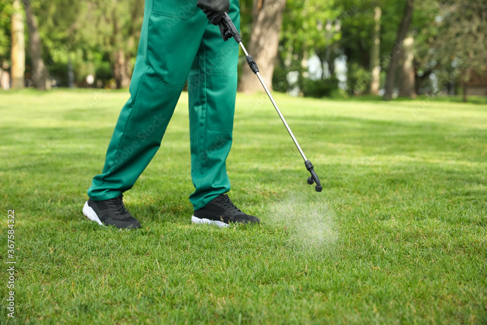 Lawn Treatments