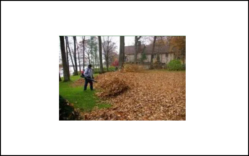Spring Clean Up – Lawn Areas