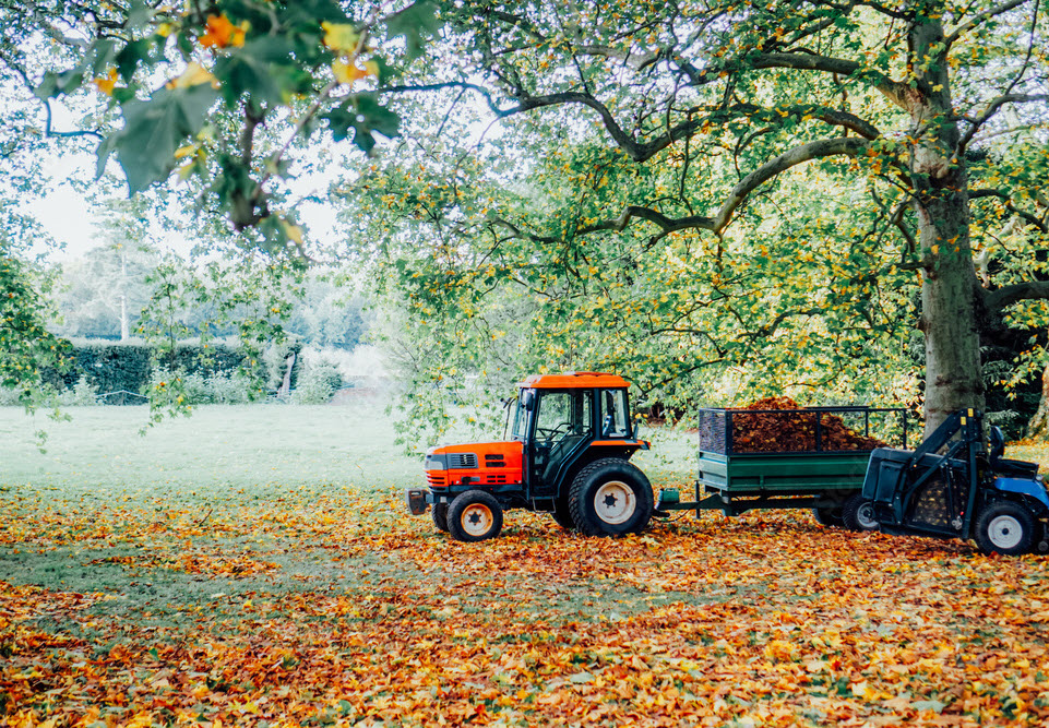 Fall Cleanup – Lawn Areas