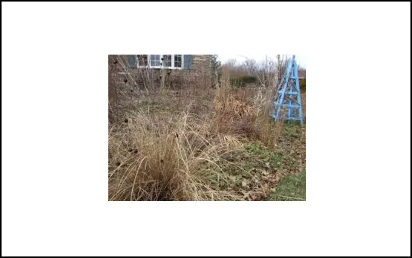 Spring Cleanup – Shrub / Planting Beds