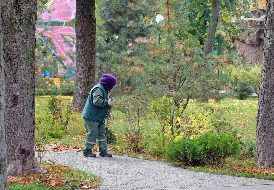 Fall Cleanup – Shrub / Planting Beds