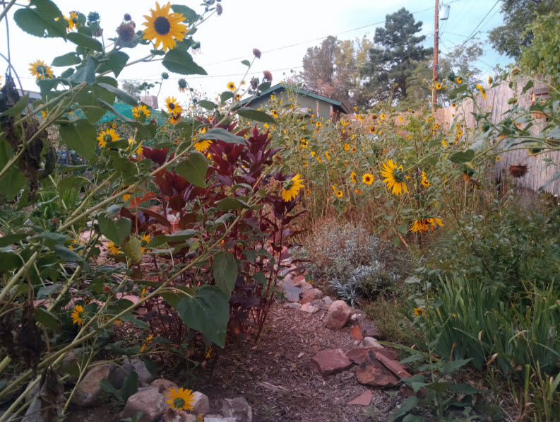 Gardening Services