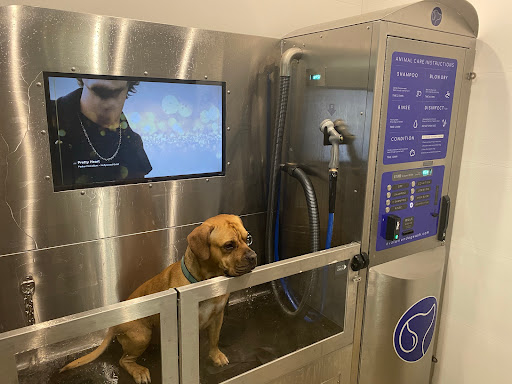 Dog Wash Station