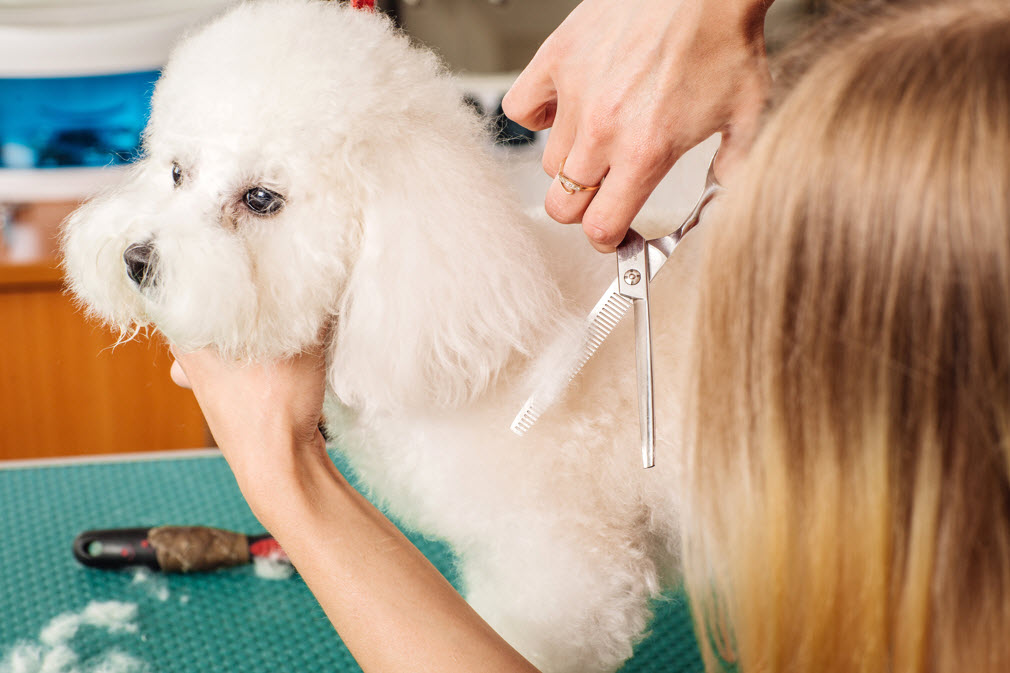 De-shedding Treatment