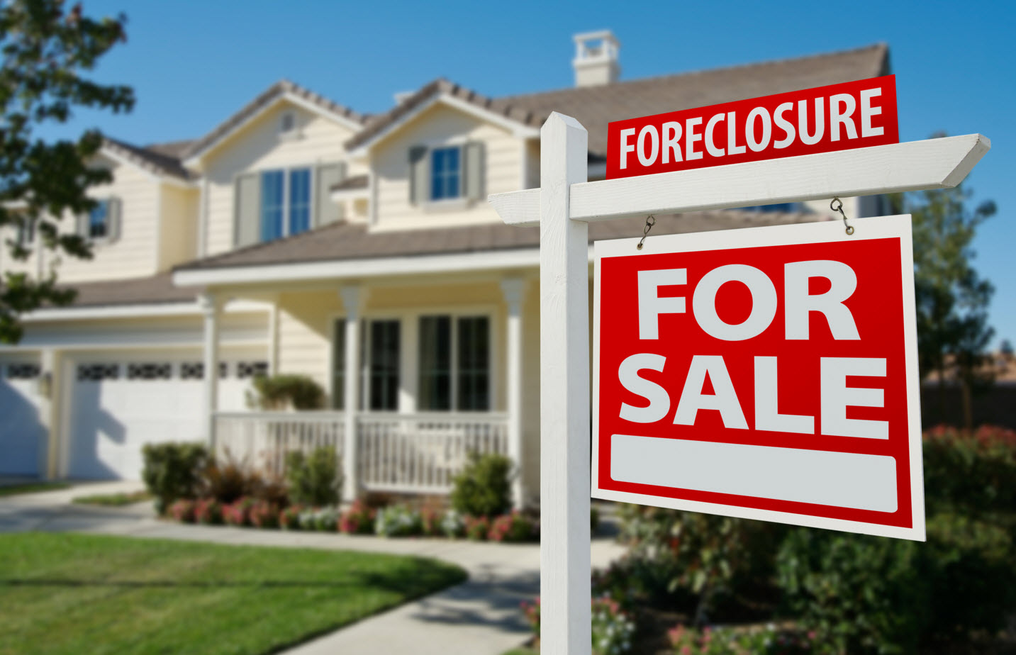 Foreclosure and REO Properties