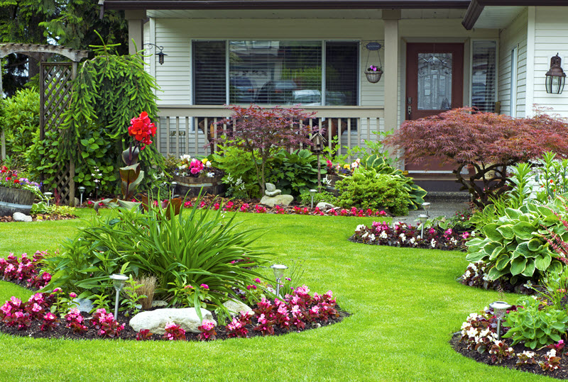 Landscaping and Outdoor Spaces