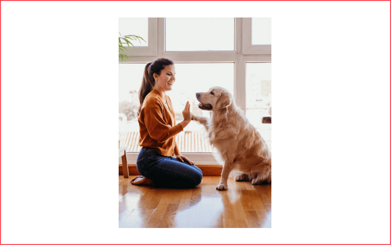 Drop In Visits While You Travel