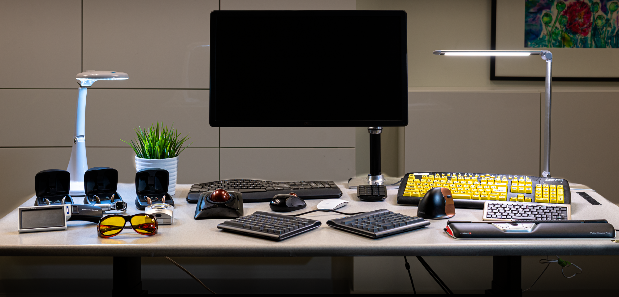 Assistive Technology and Ergonomics