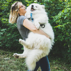 Pet Services