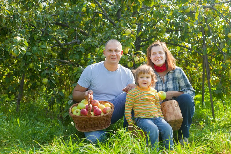 Farm Insurance