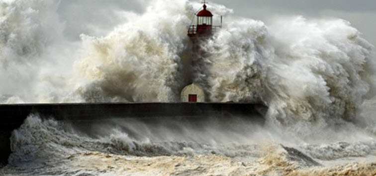 Wind and Storm Damage Restoration Services