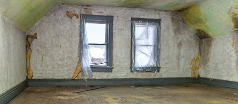 Mold Removal and Inspection Services