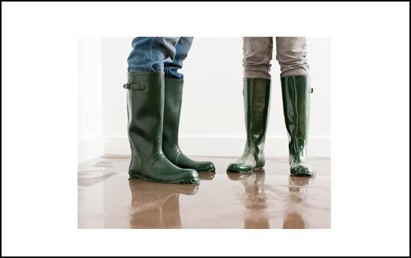 Personal Insurance Solutions