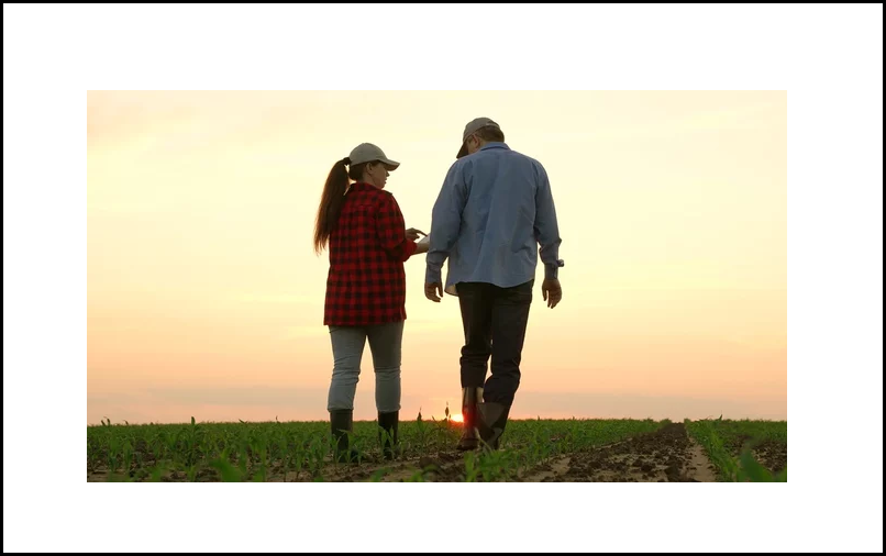 Farm and Agribusiness Insurance