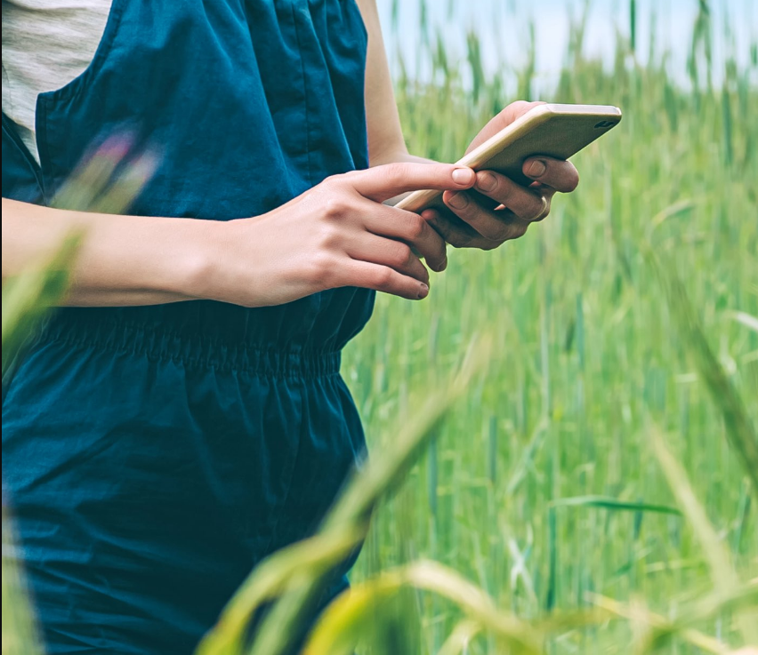 Online and Mobile Banking