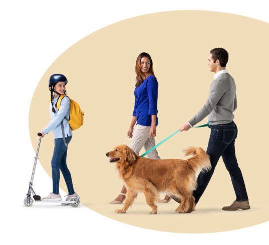 Pet Insurance