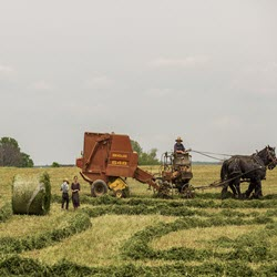 Production Agriculture and Farmland Trust Administration