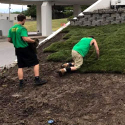 Aeration