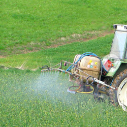 Weed Control and Disease Control