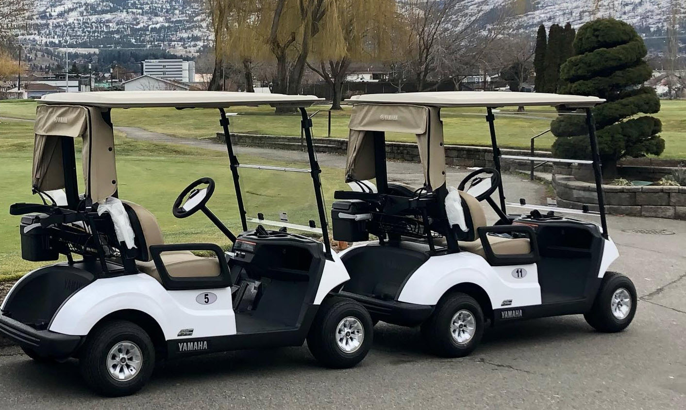 Golf Cart Rental