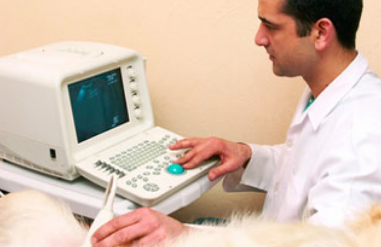 Ultrasound