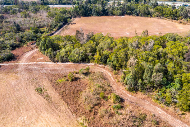 Environmental Reclamation