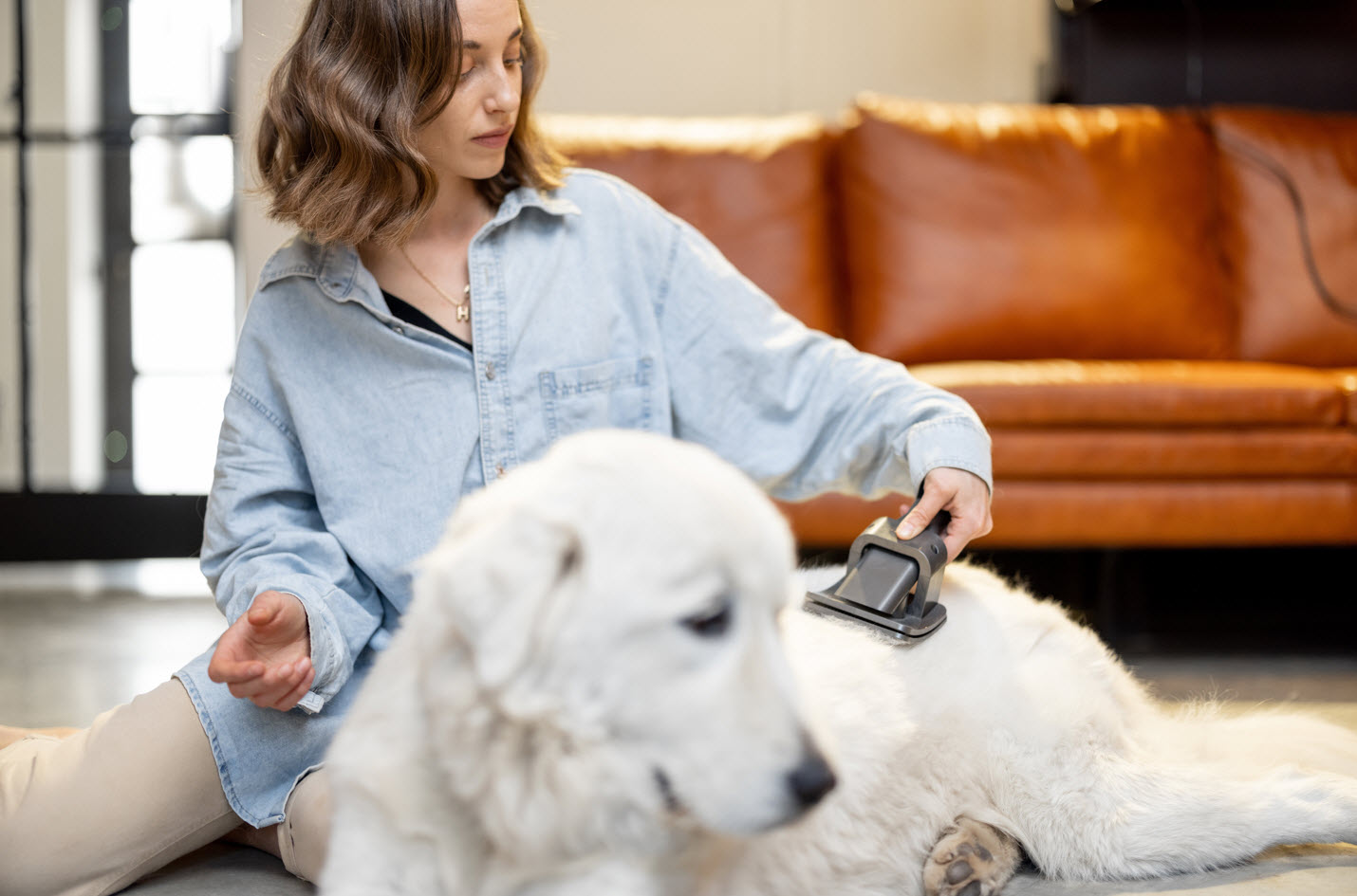 Dog Brushing Services