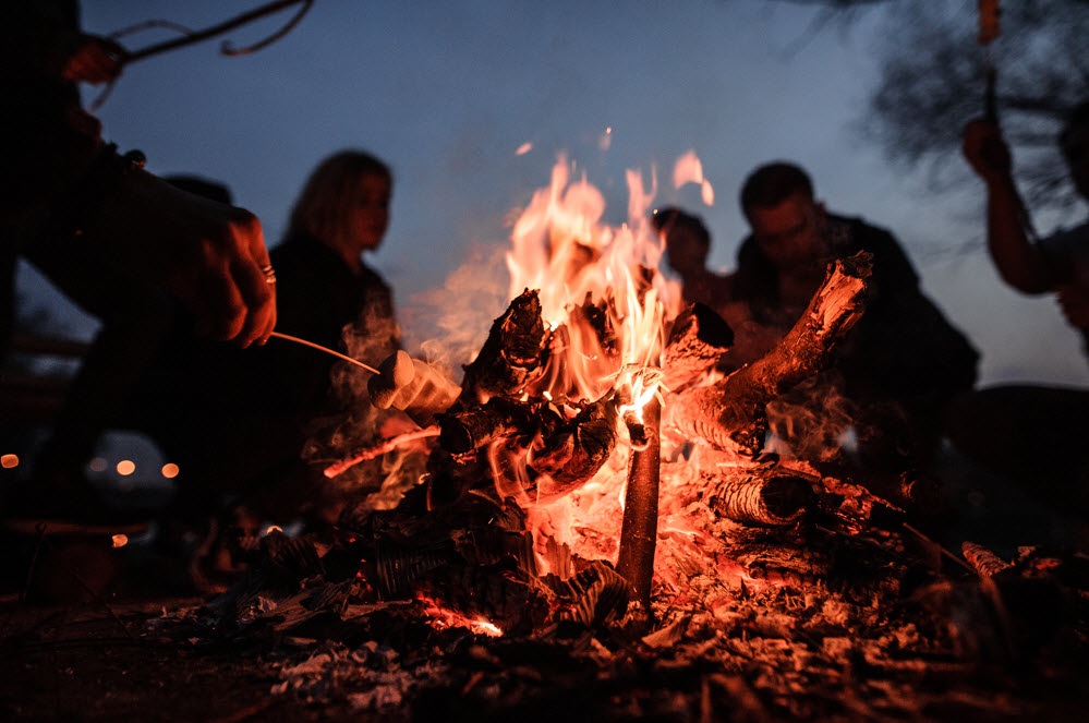 Bonfire Nights